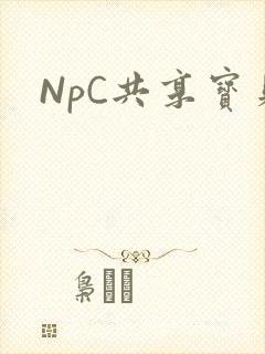 NpC共享宝贝