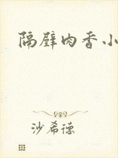 隔壁肉香小说