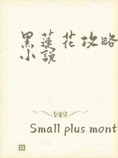 黑莲花攻略手册小说