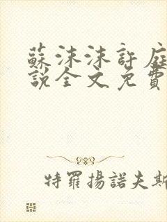 苏沫沫许庭川小说全文免费阅读