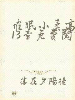 催眠小柔高达第13章免费阅读