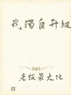 我独自升级小说