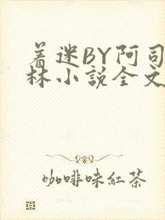 着迷BY阿司匹林小说全文免费阅读