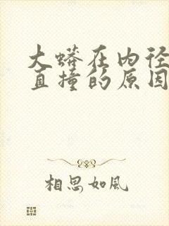 大蟒在内径横冲直撞的原因