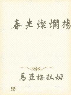 春光灿烂杨家将