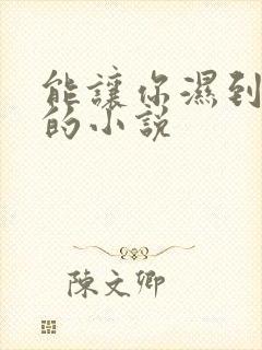 能让你湿到不行的小说