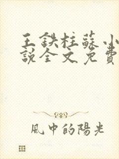 王铁柱苏小汐小说全文免费阅读最新章节