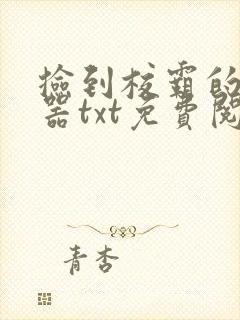 捡到校霸的遥控器txt免费阅读by阳阳