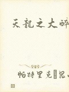 天龙之大醉侠