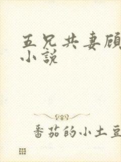 五兄共妻顾心儿小说