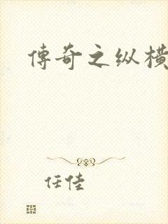 传奇之纵横玛法