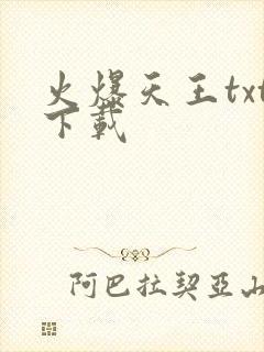 火爆天王txt下载