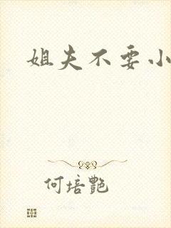 姐夫不要小说
