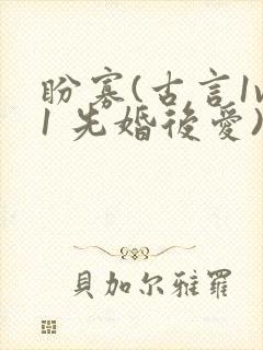 盼寡(古言1v1 先婚后爱)荔枝好多