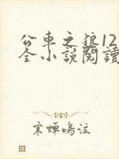 公车之狼12集全小说阅读