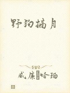 野狗摘月