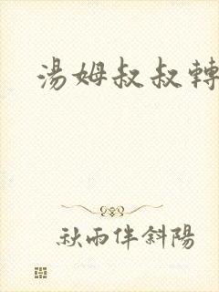 汤姆叔叔转接口