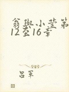 翁与小莹第十部12至16章