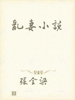乱妻小说