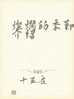 灿烂的季节剧情介绍