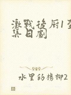 激战后厨1至5集日剧