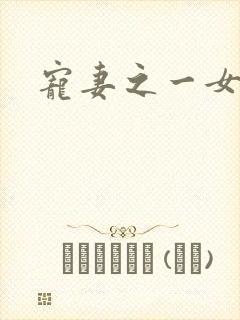 宠妻之一女二夫