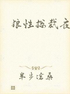 狼性总裁夜欢宠