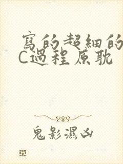 写的超细的多肉C过程原耽