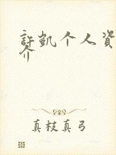 许凯个人资料简介