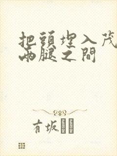 把头埋入茂密的两腿之间