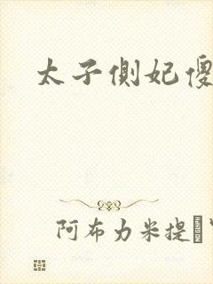 太子侧妃傻乎乎