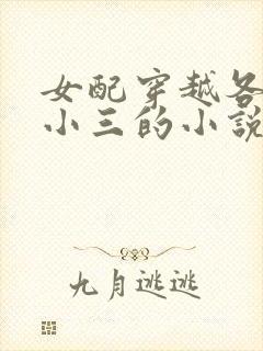 女配穿越各个做小三的小说