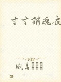 寸寸销魂夜春光