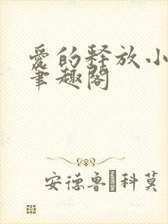 爱的释放小说 笔趣阁