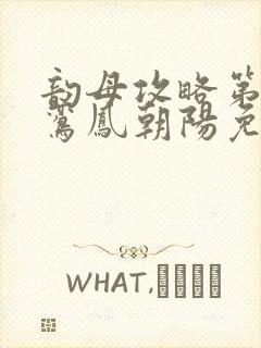 韵母攻略第二部鸾凤朝阳免费阅读