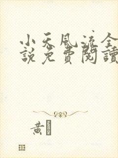 小天风流全集小说免费阅读