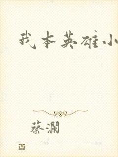 我本英雄小说