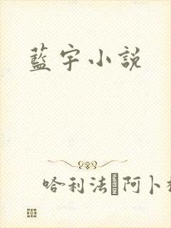 蓝宇小说