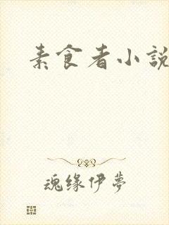 素食者小说
