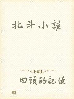 北斗小说
