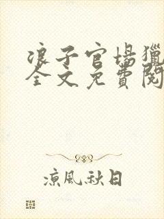 浪子官场猎艳记全文免费阅读