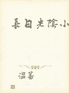 长日光阴小说