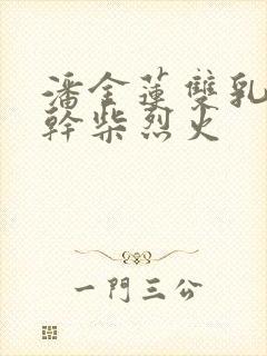 潘金莲双乳晃动干柴烈火