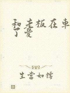 和老板在车里做了爱