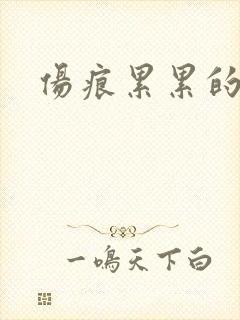 伤痕累累的勋章