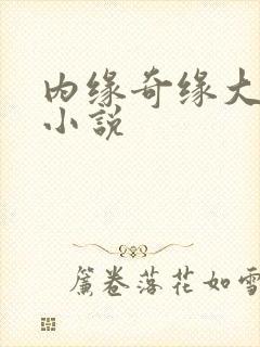 内缘奇缘大团圆小说