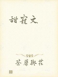 甜宠文