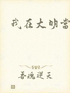 我在大明当暴君