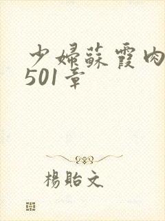 少妇苏霞肉欲第501章