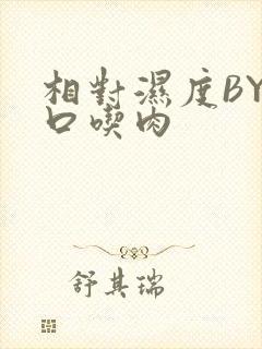 相对湿度BY大口吃肉